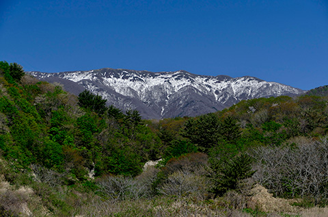 Shirakami Sanchi, a scenic mountain area in northern Japan.