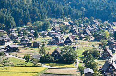 Shirakawa-go, a historic mountain village in Gifu Prefecture.