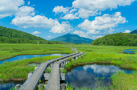 Oze, known for its beautiful wetlands and flowers.