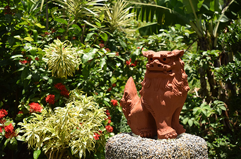 Shisa, traditional guardian statues in Okinawa.