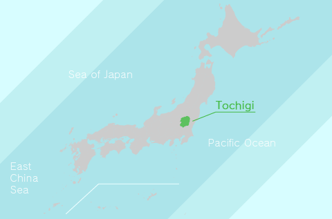 The Location of Tochigi Prefecture